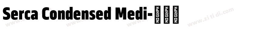 Serca Condensed Medi字体转换